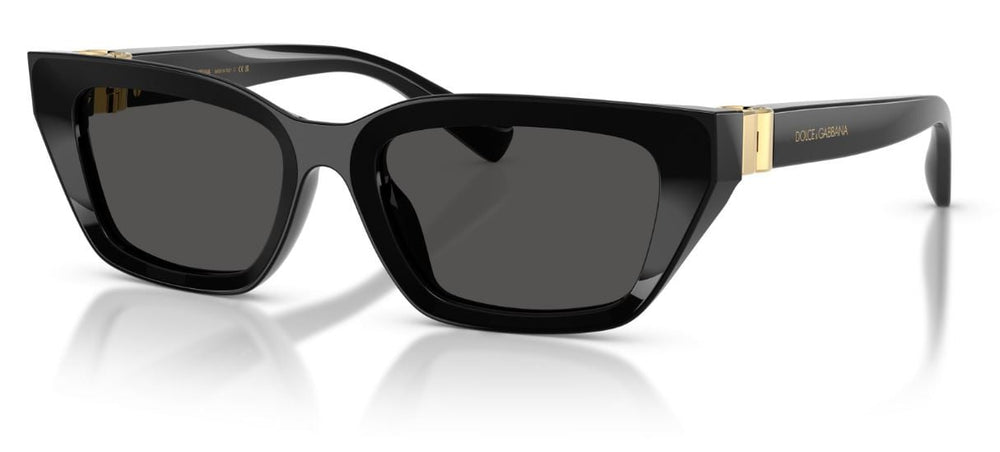 Lunettes de Soleil Dolce & Gabbana DG4532