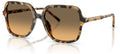Lunettes de Soleil Dolce & Gabbana DG4539