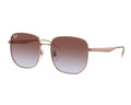 Lunettes de soleil Ray-Ban RB3713D