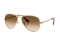 Lunettes de soleil Ray-Ban Aviator Max RB3925