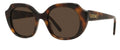 Lunettes de Soleil Loewe Slim LW40191I