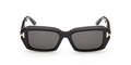 Lunettes de soleil Tom Ford Icon TI0025