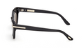 Lunettes de soleil Tom Ford Icon TI0024