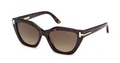Lunettes de soleil Tom Ford Icon TI0024