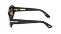 Lunettes de soleil Tom Ford Icon FT1253