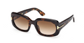 Lunettes de soleil Tom Ford Icon FT1253