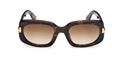Lunettes de soleil Tom Ford Icon FT1253
