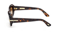 Lunettes de soleil Tom Ford Icon FT1253