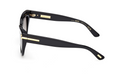 Lunettes de soleil Tom Ford Icon FT1252