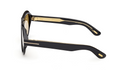 Lunettes de soleil Tom Ford Icon FT1225