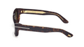 Lunettes de soleil Tom Ford Icon FT1203