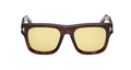 Lunettes de soleil Tom Ford Icon FT1200