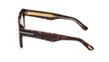 Lunettes de soleil Tom Ford Icon FT1200
