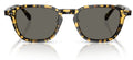 Lunettes de Soleil Oliver Peoples Emryn OV5598SU