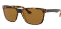 Lunettes de soleil Ray-Ban RB4181