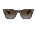 Lunettes de soleil Ray-Ban RB4840S