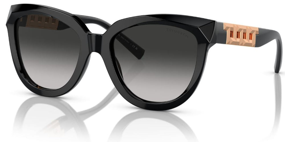 Lunettes de Soleil Tiffany & Co TF4215