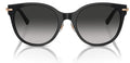Lunettes de Soleil Tiffany & Co TF4223D